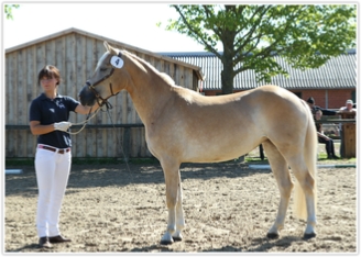 Fotograf: Jutta Wego / hippothek