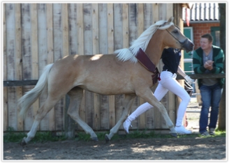 Fotograf: Jutta Wego / hippothek