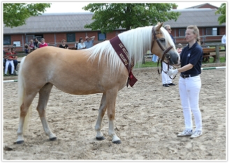 Fotograf: Jutta Wego / hippothek